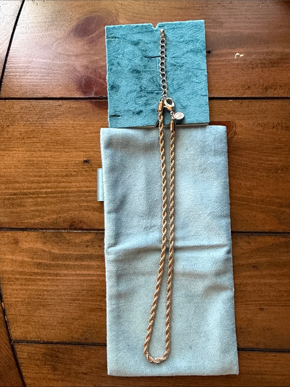 Women's Gold Rope Chain Necklace with Adjustable Clasp